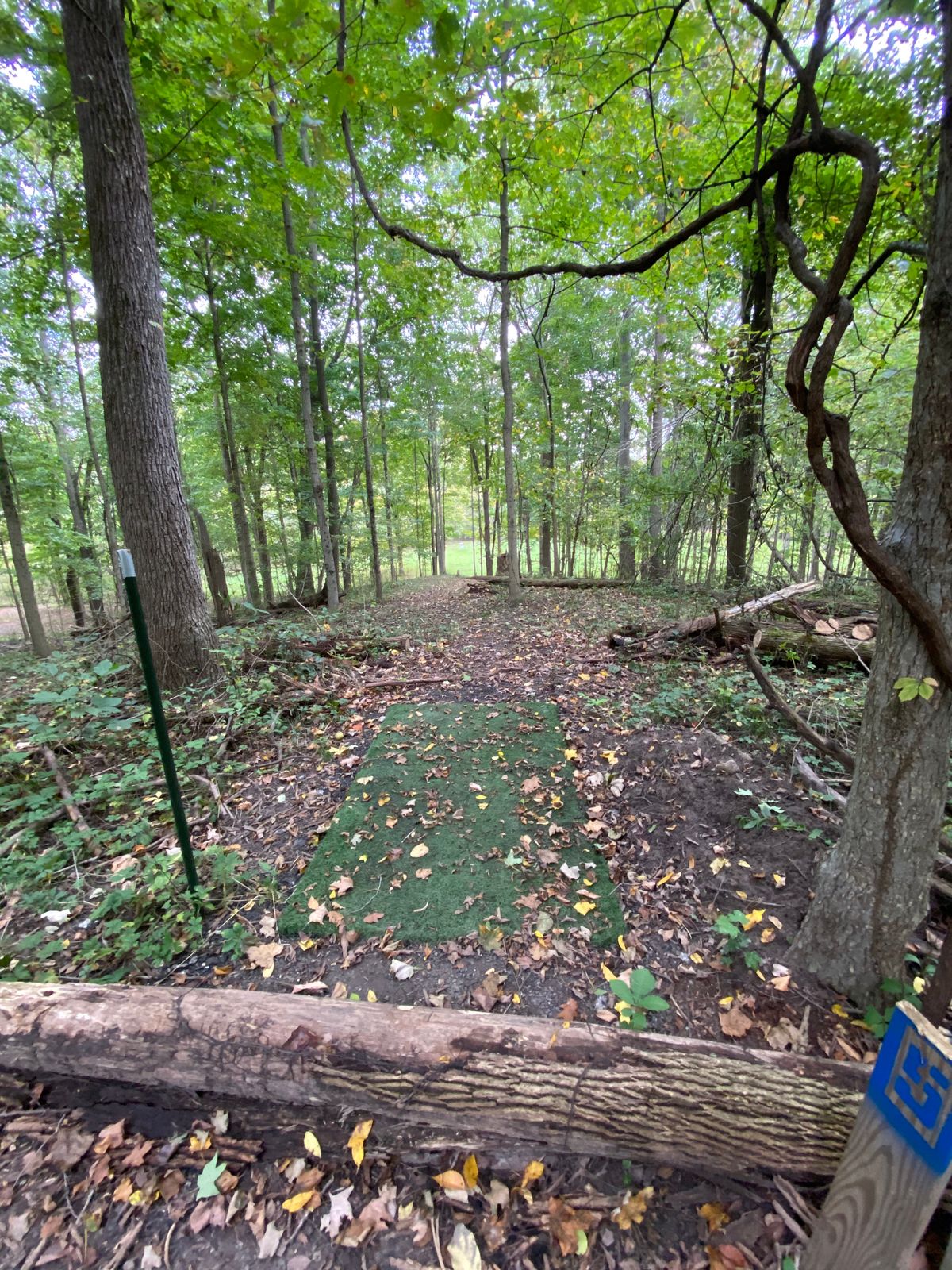 Basket 05 tee pad