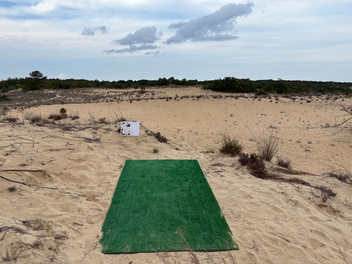Hole 9 tee
