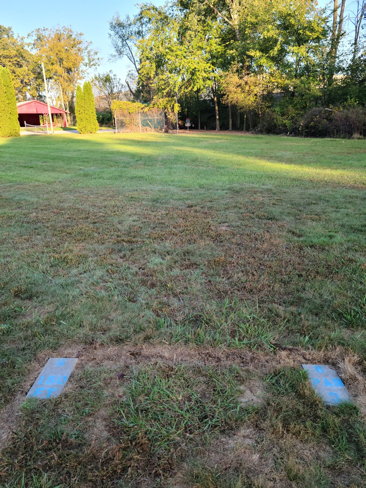 Tee 6