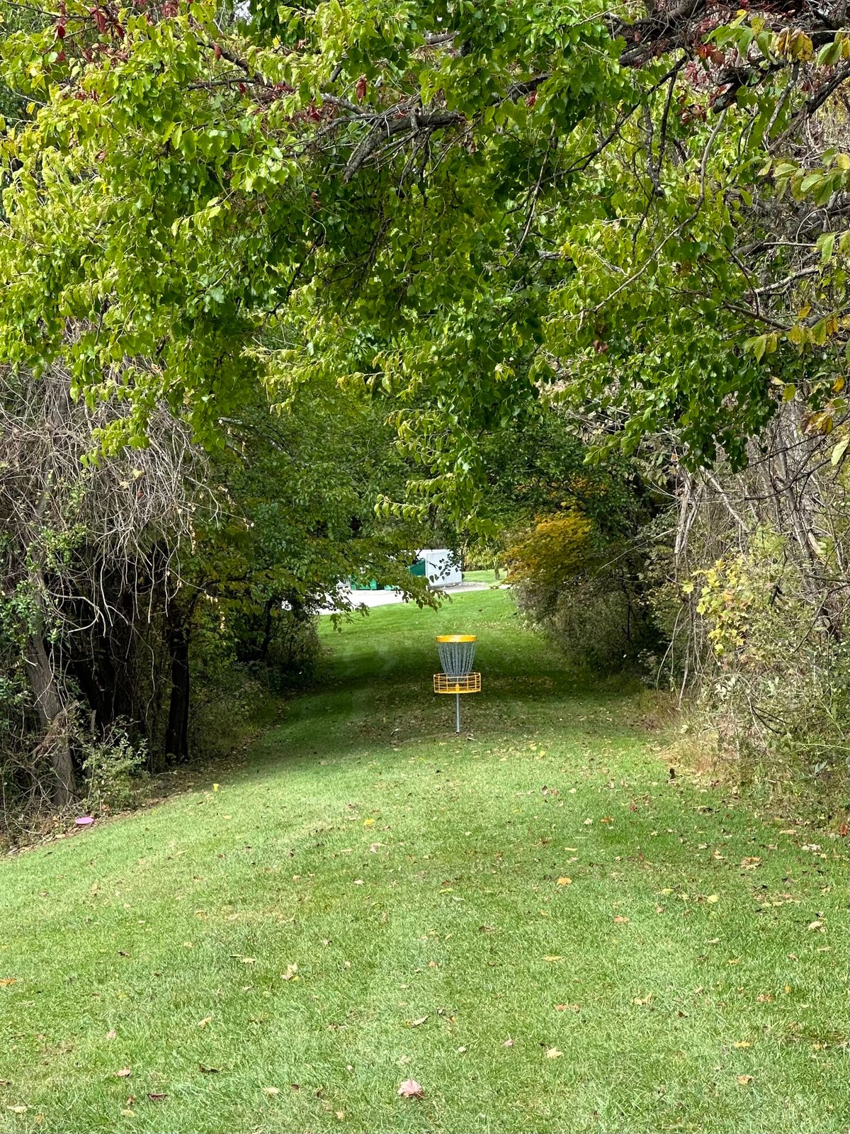 Approach go hole 6