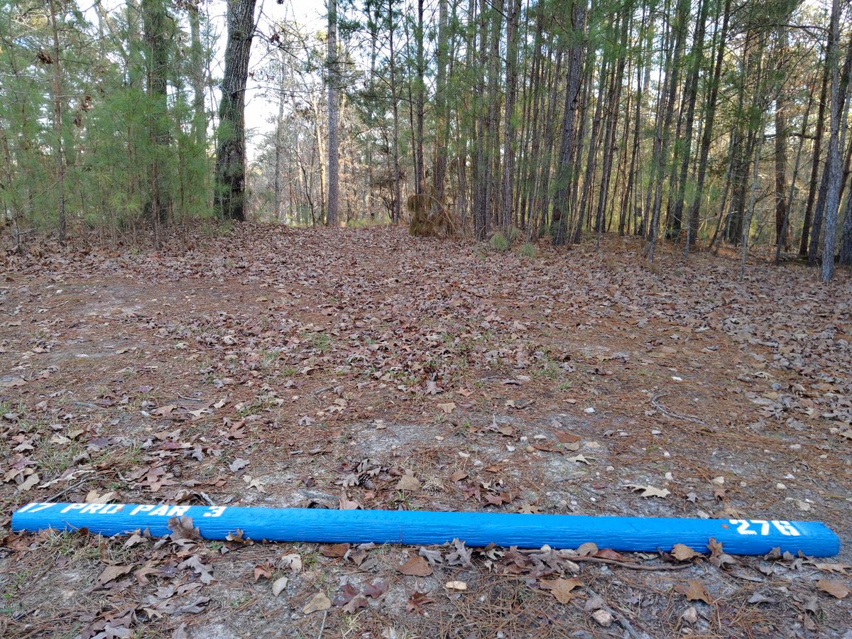 Hole 17 Amateur Tee