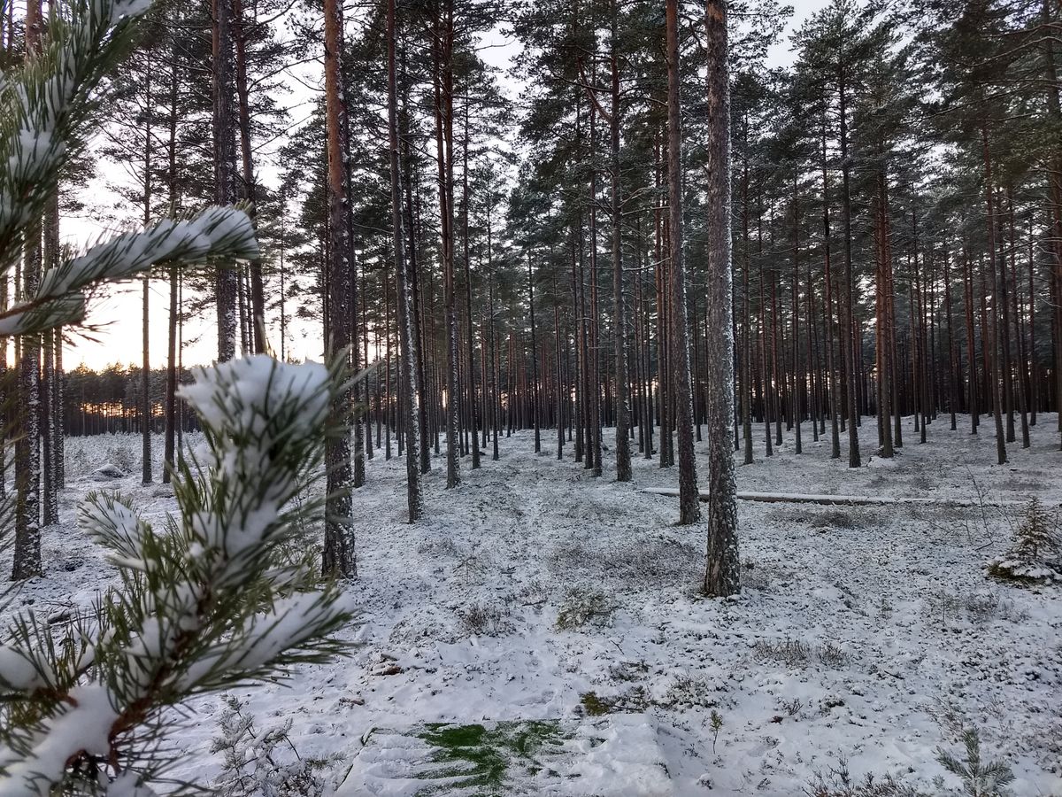 Hål 6