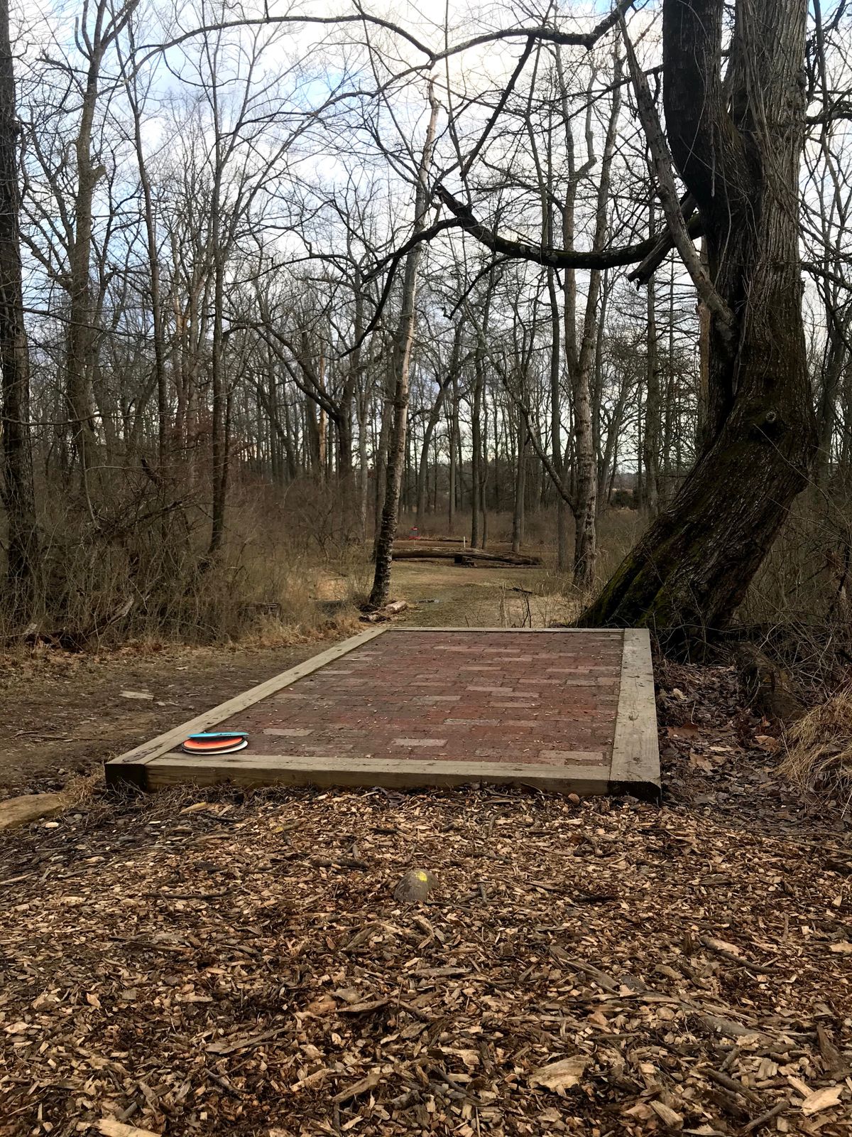 Newer hole #10 Teebox
