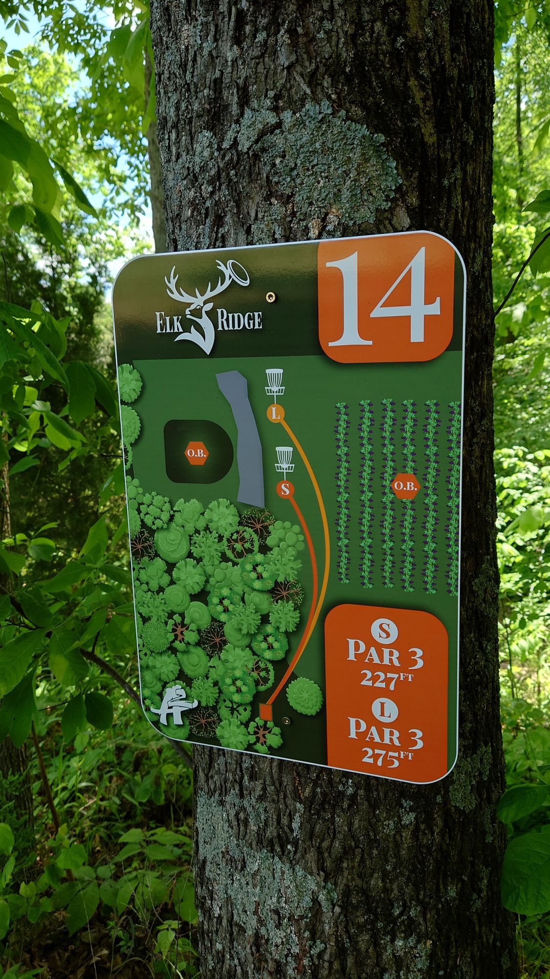 Hole 14 tee sign.