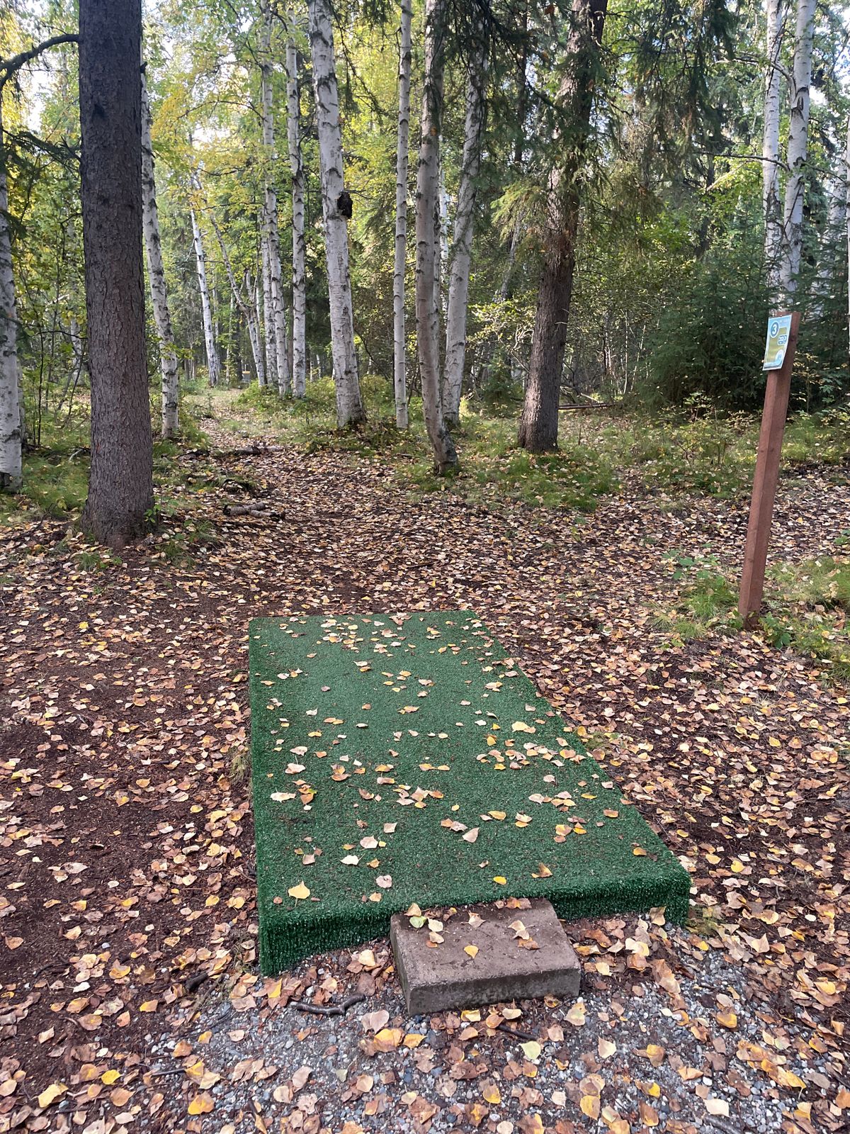 Hole 3 Tee Pad
