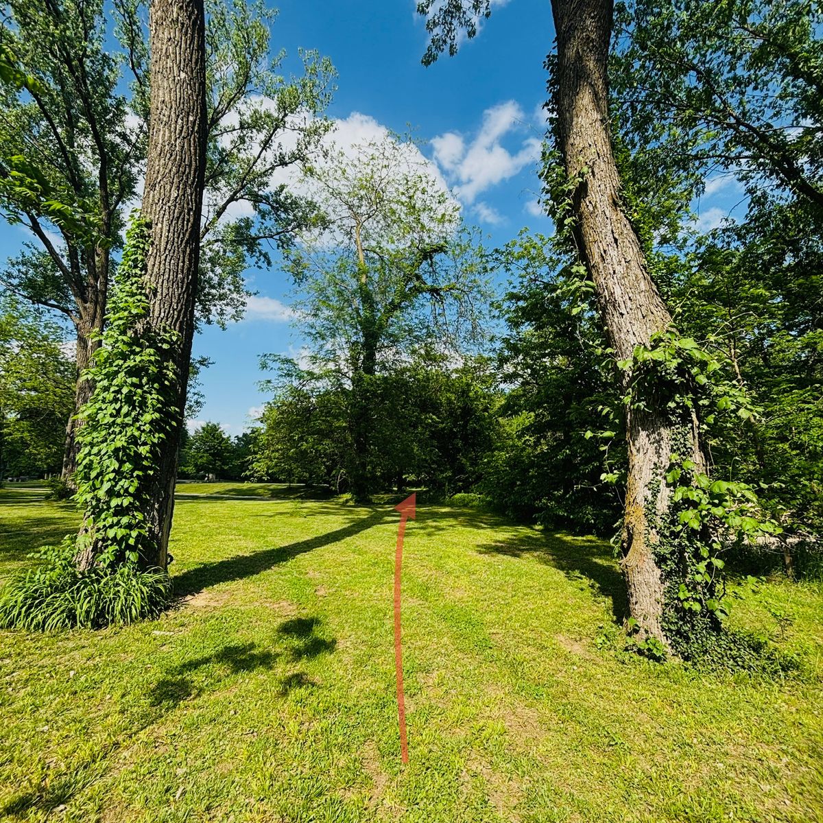 Hole 6