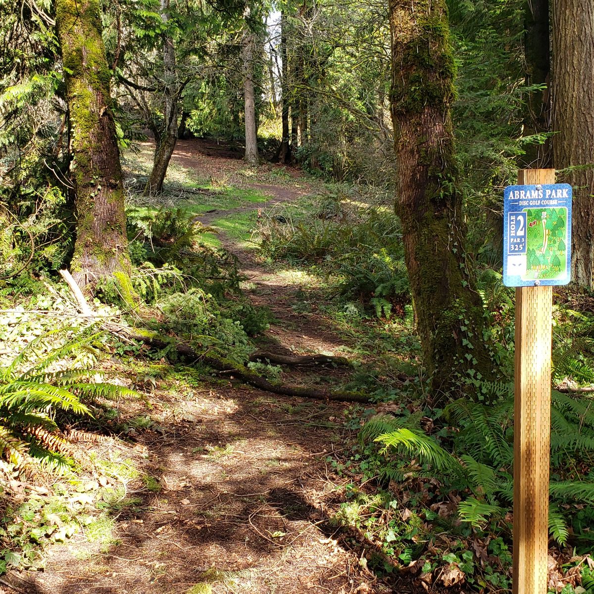 Hole 2