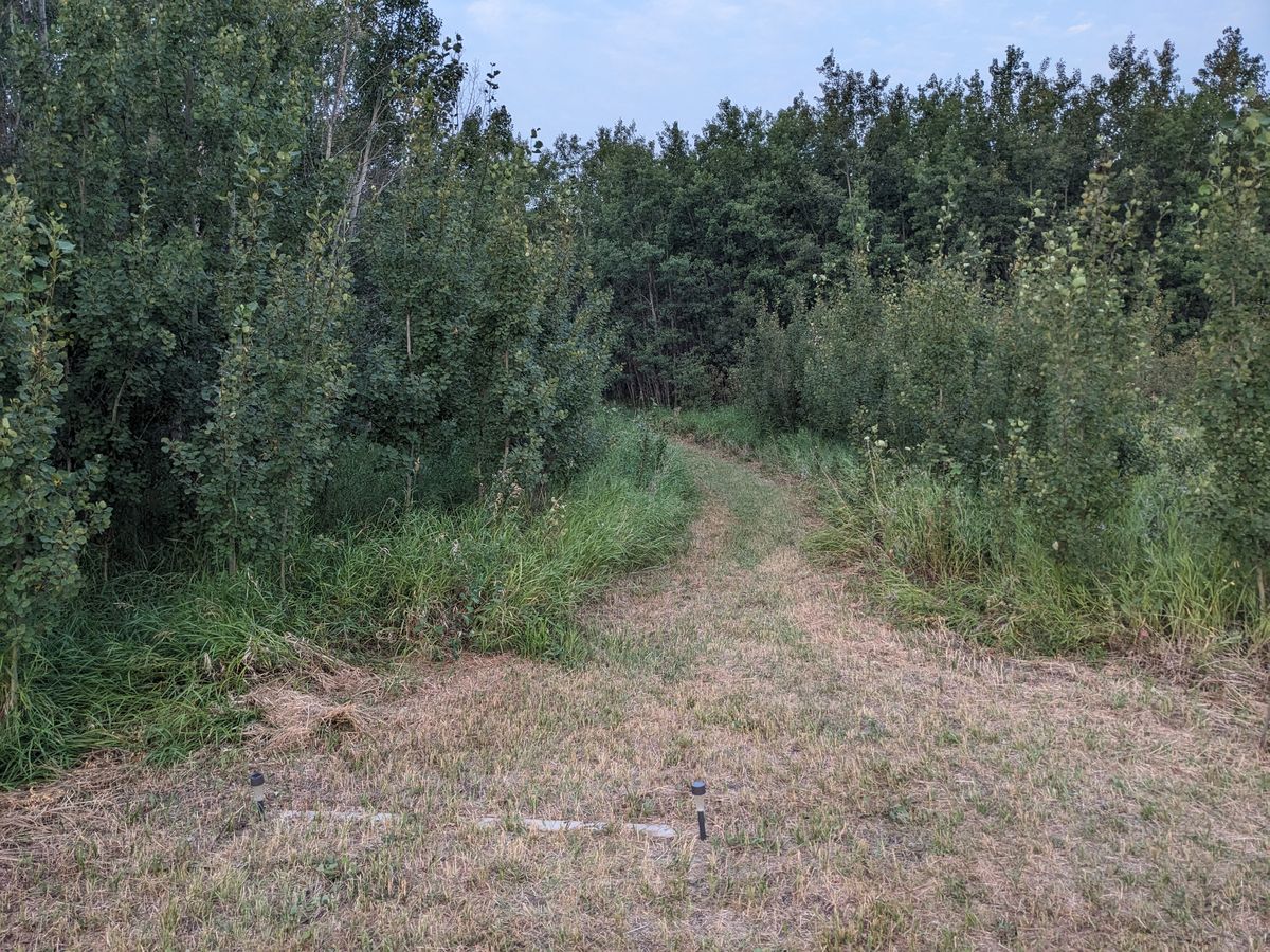 Hole 12, basket to the left