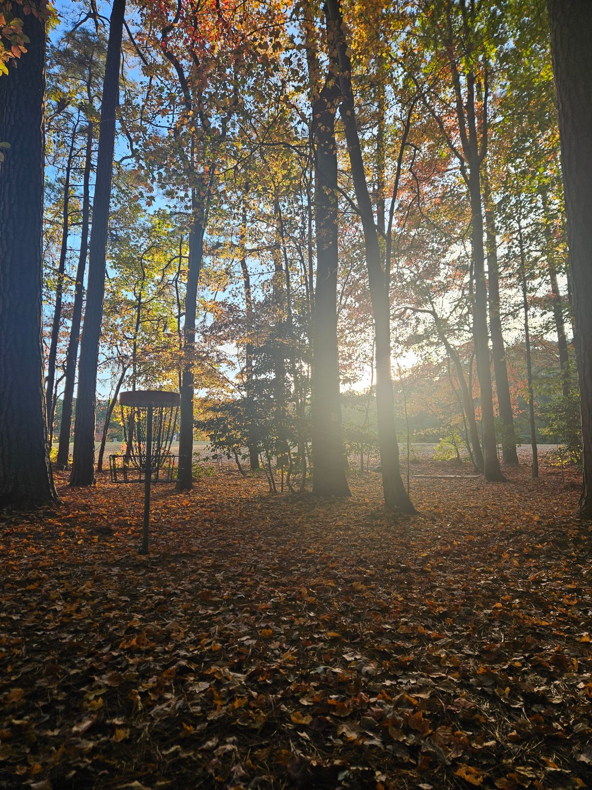 Hole 2's green during golden hour in October