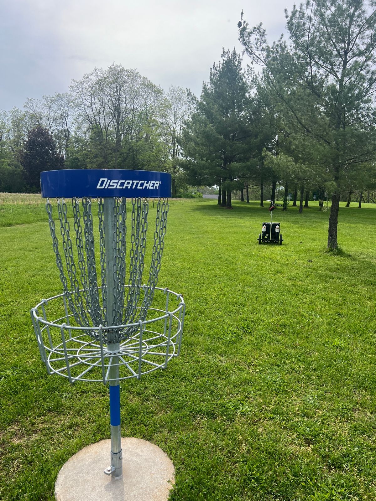 Hole 3 Basket - Looking back at the tee pad, in line with the cart