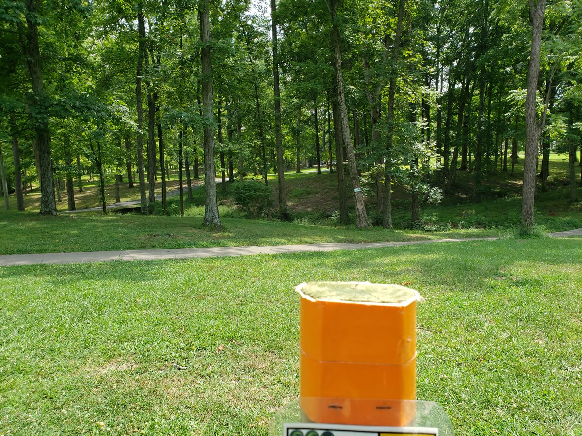 #1 Pro Tee shot view.  525 feet, par 4