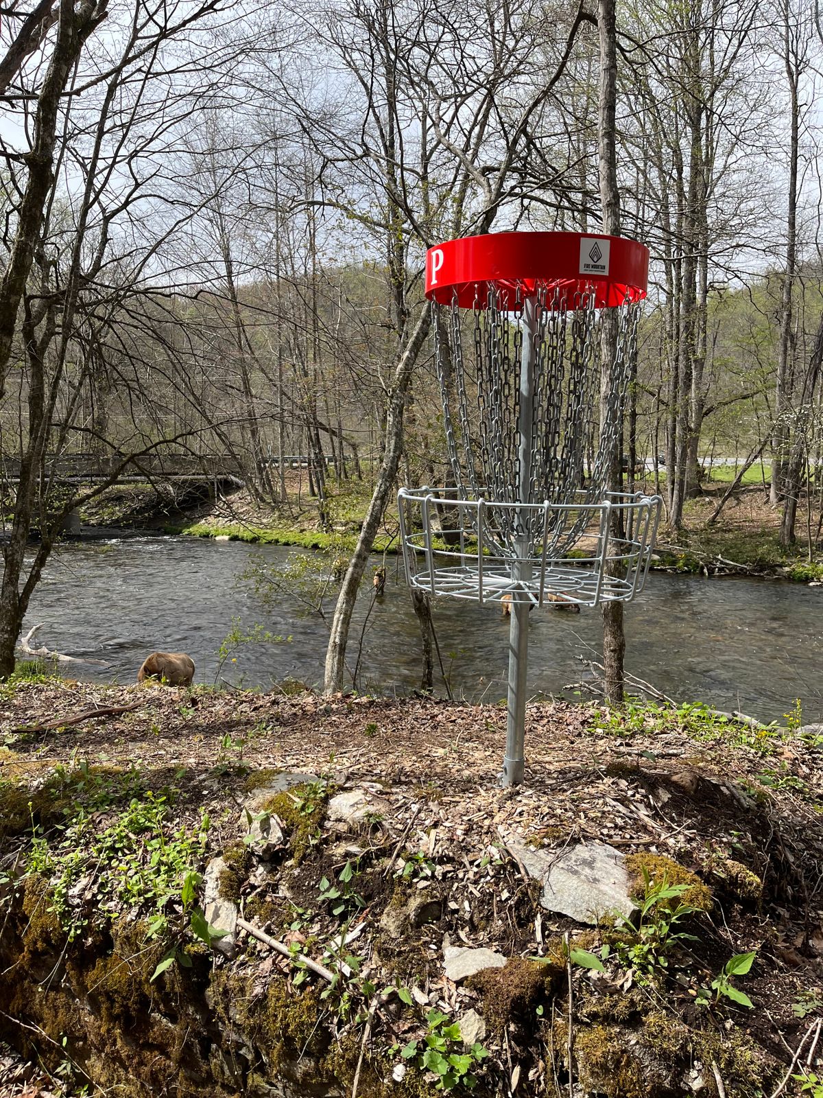 Putting basket by river with elk in background.