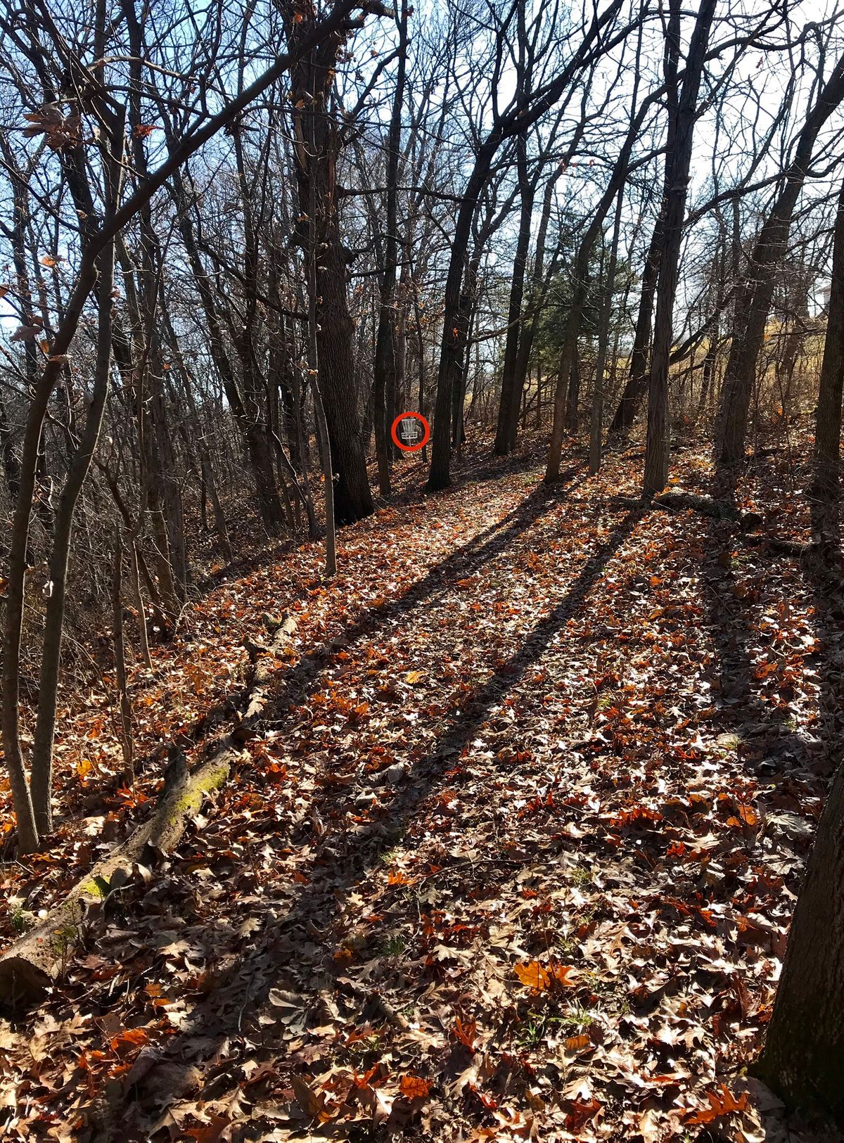 Hole 5 Tee