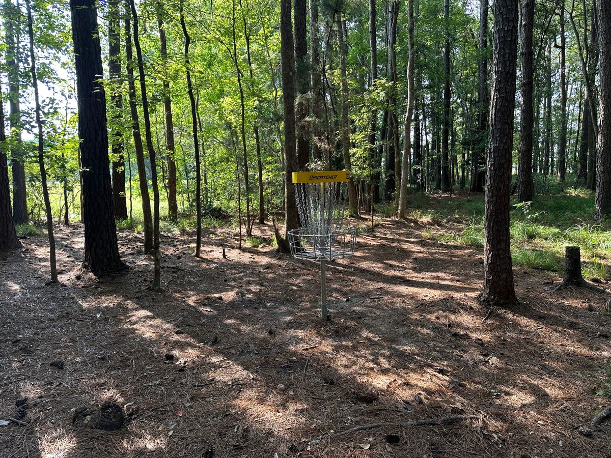 Hole 8a Basket