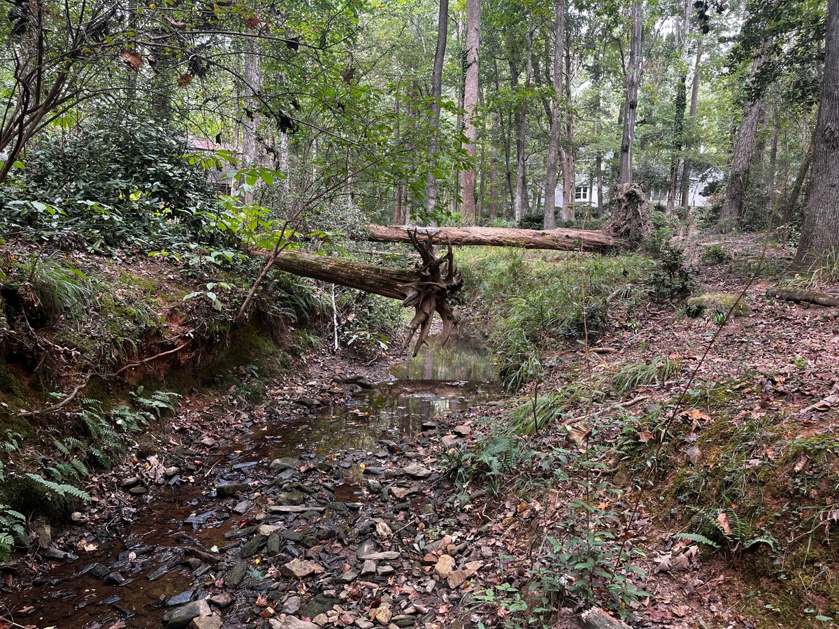 The creek running along the bottom of the property