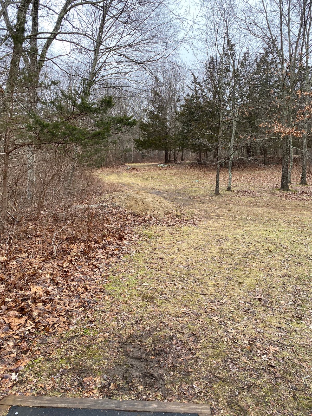 Hole 8 tee
