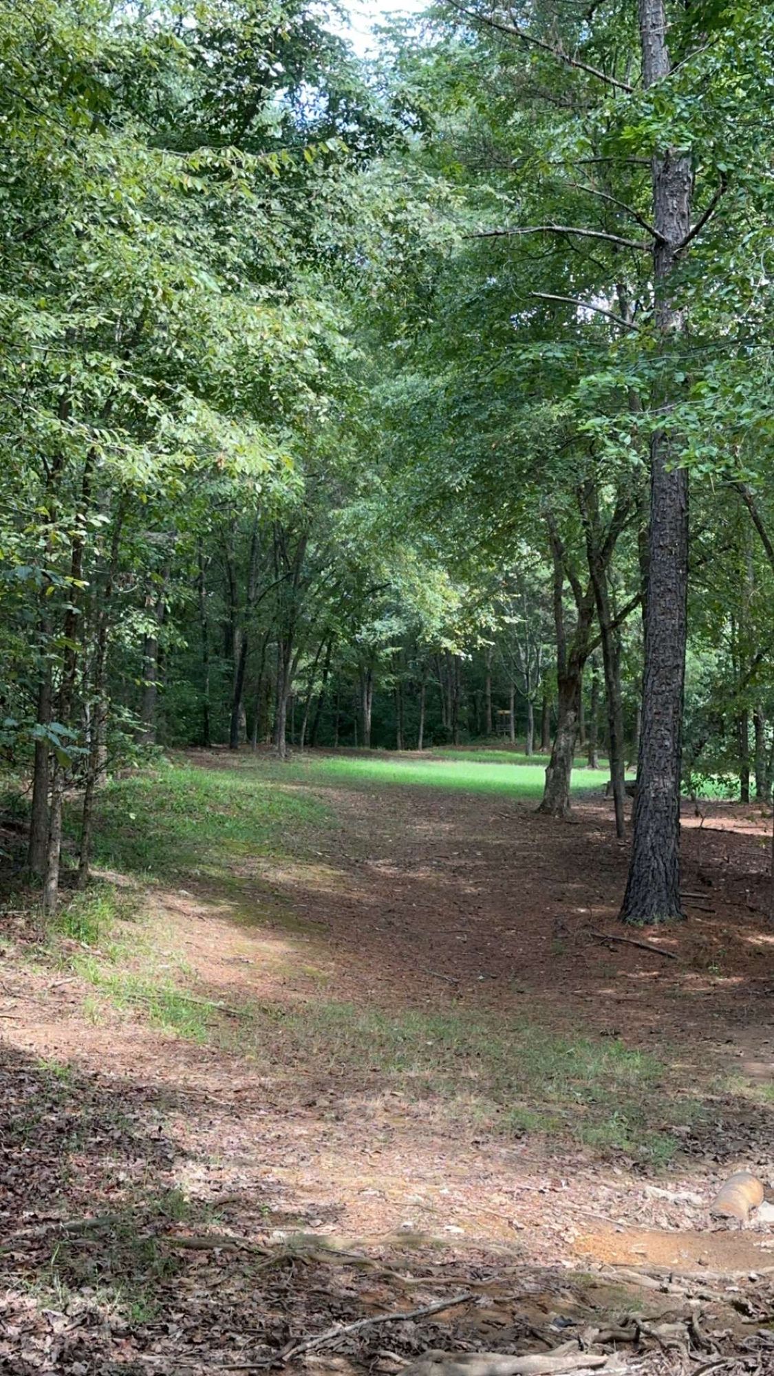 #15 fairway
