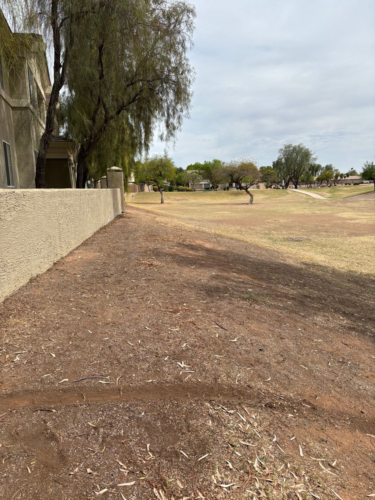 Hole 8- concrete wall & beyond OB. Sidewalk & beyond OB