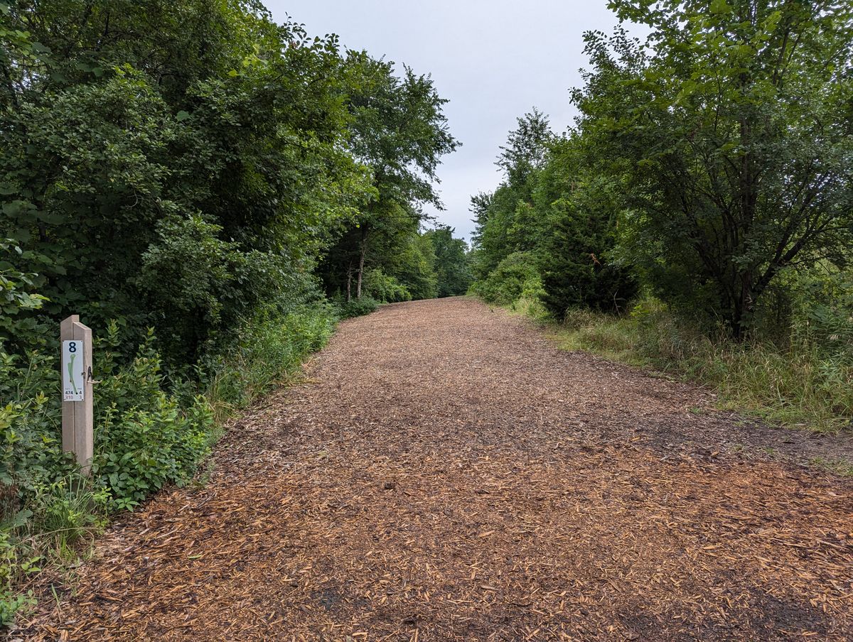 Hole 8 tee