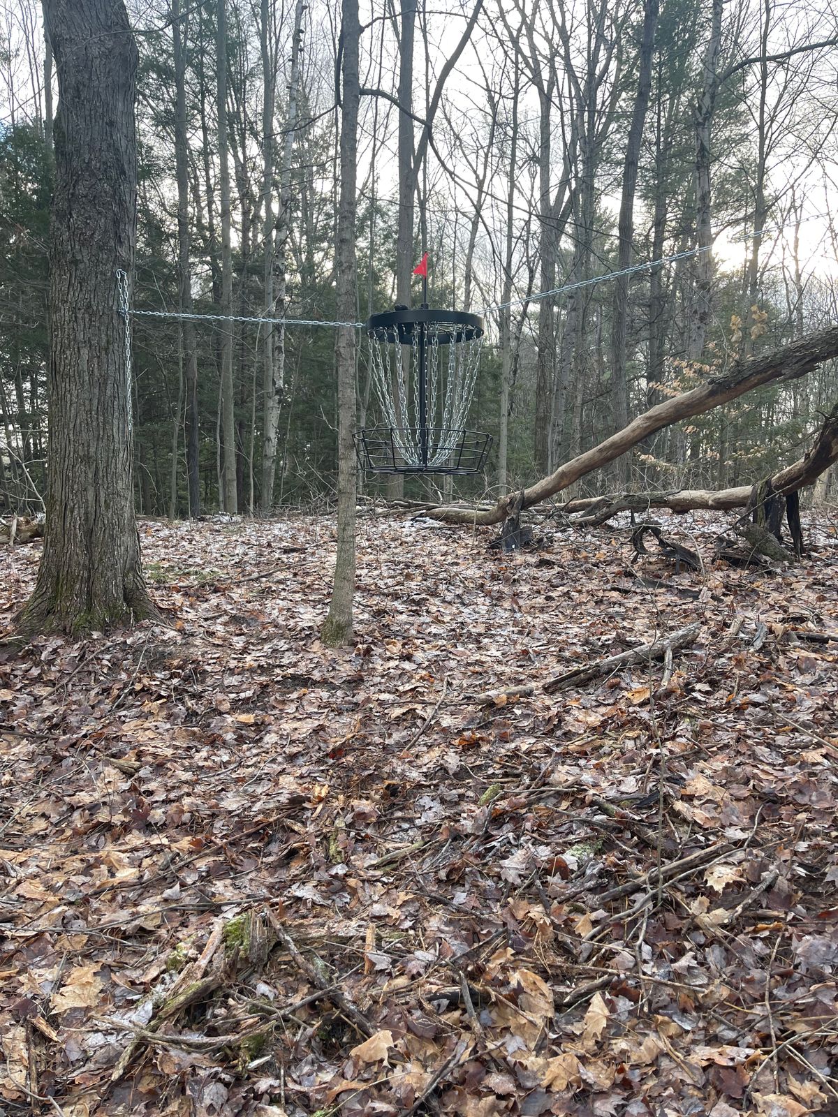 Hole 8