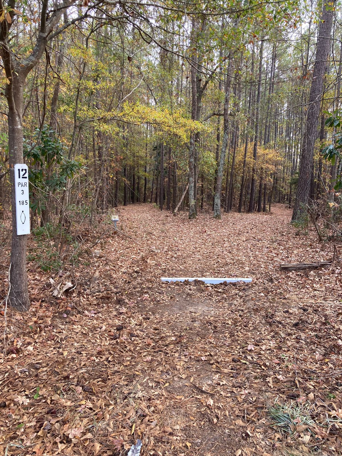 Hole 12, Tee Box, 185’ Wishbone, Left and Right options available.