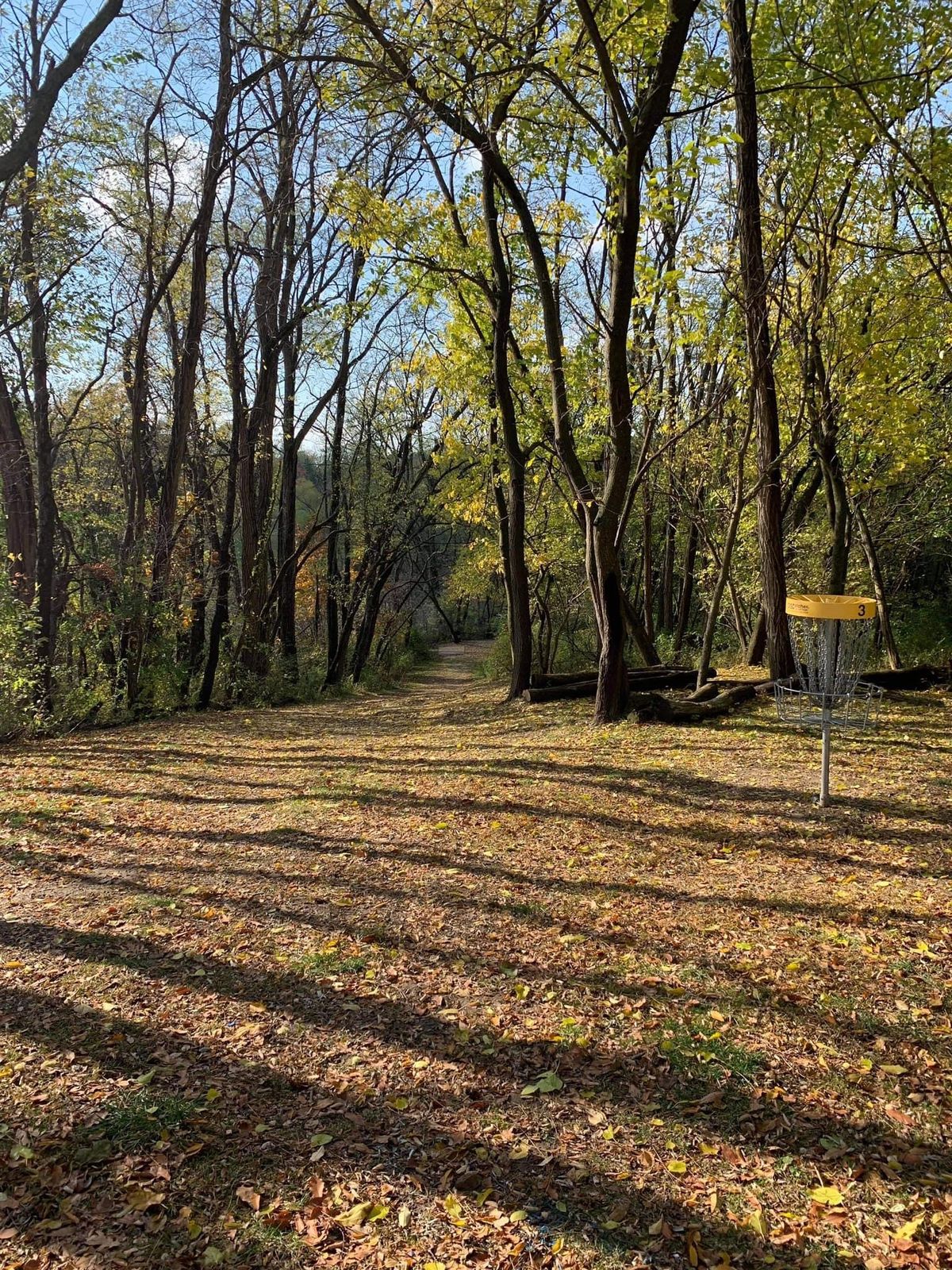 Hole 3 looking back at tee