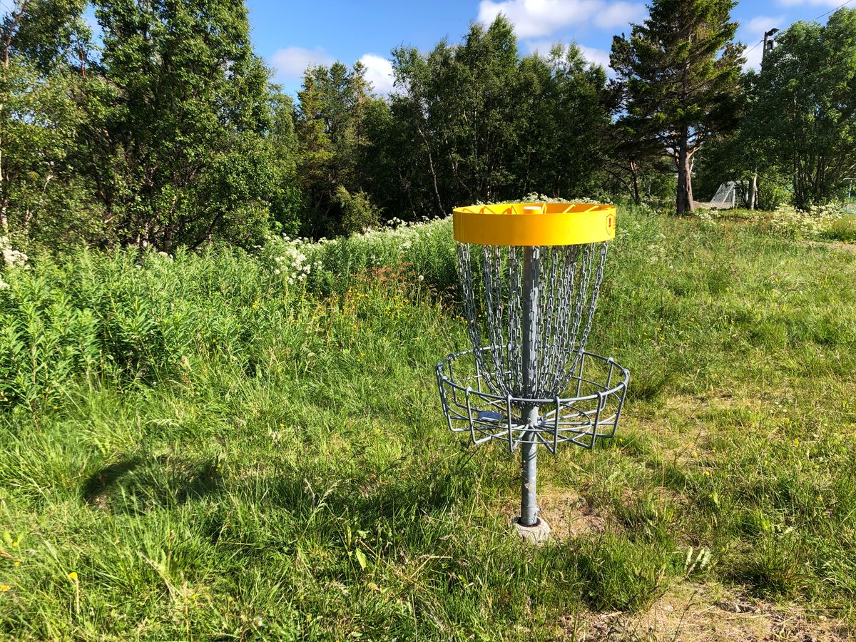 Basket 5. Impression of the grassy conditions.