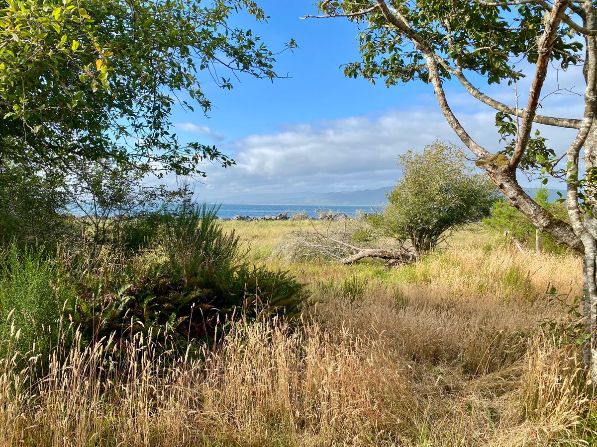 Beautiful views from many holes.