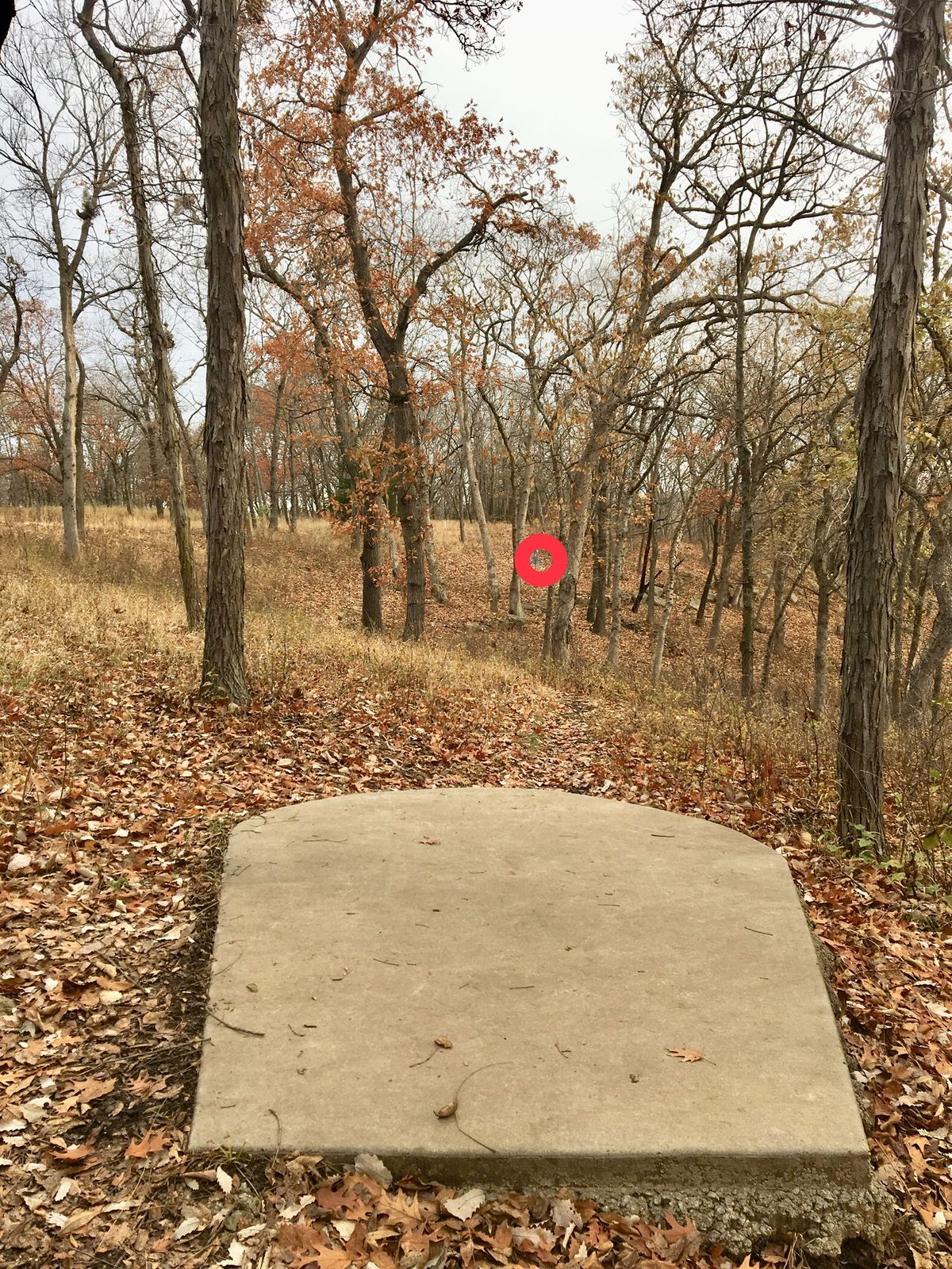 Hole 12 Tee