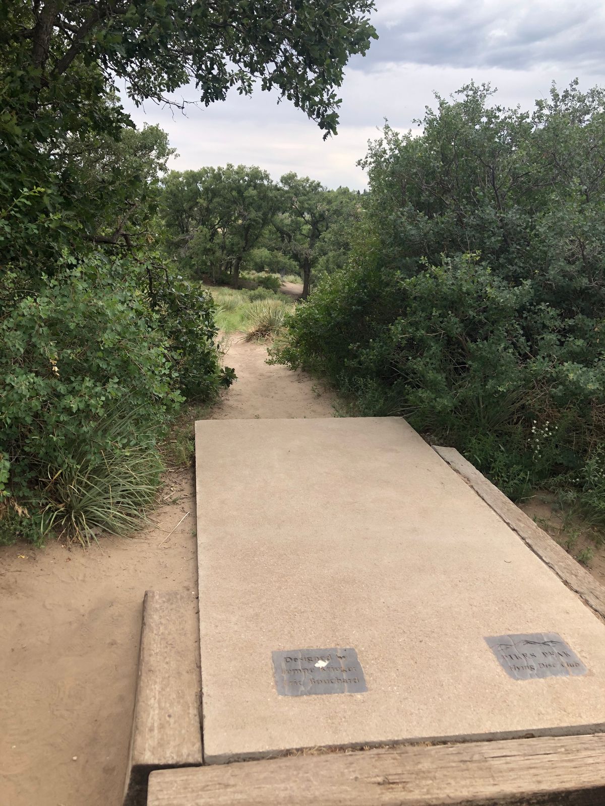 Fun tee views