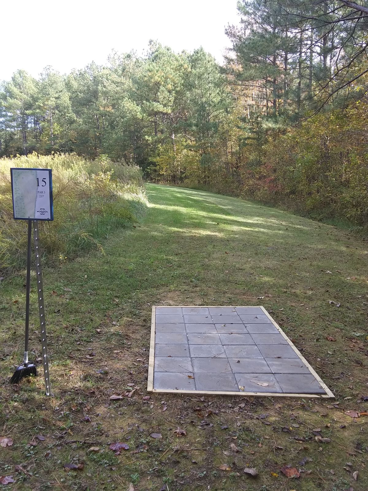 Hole 15