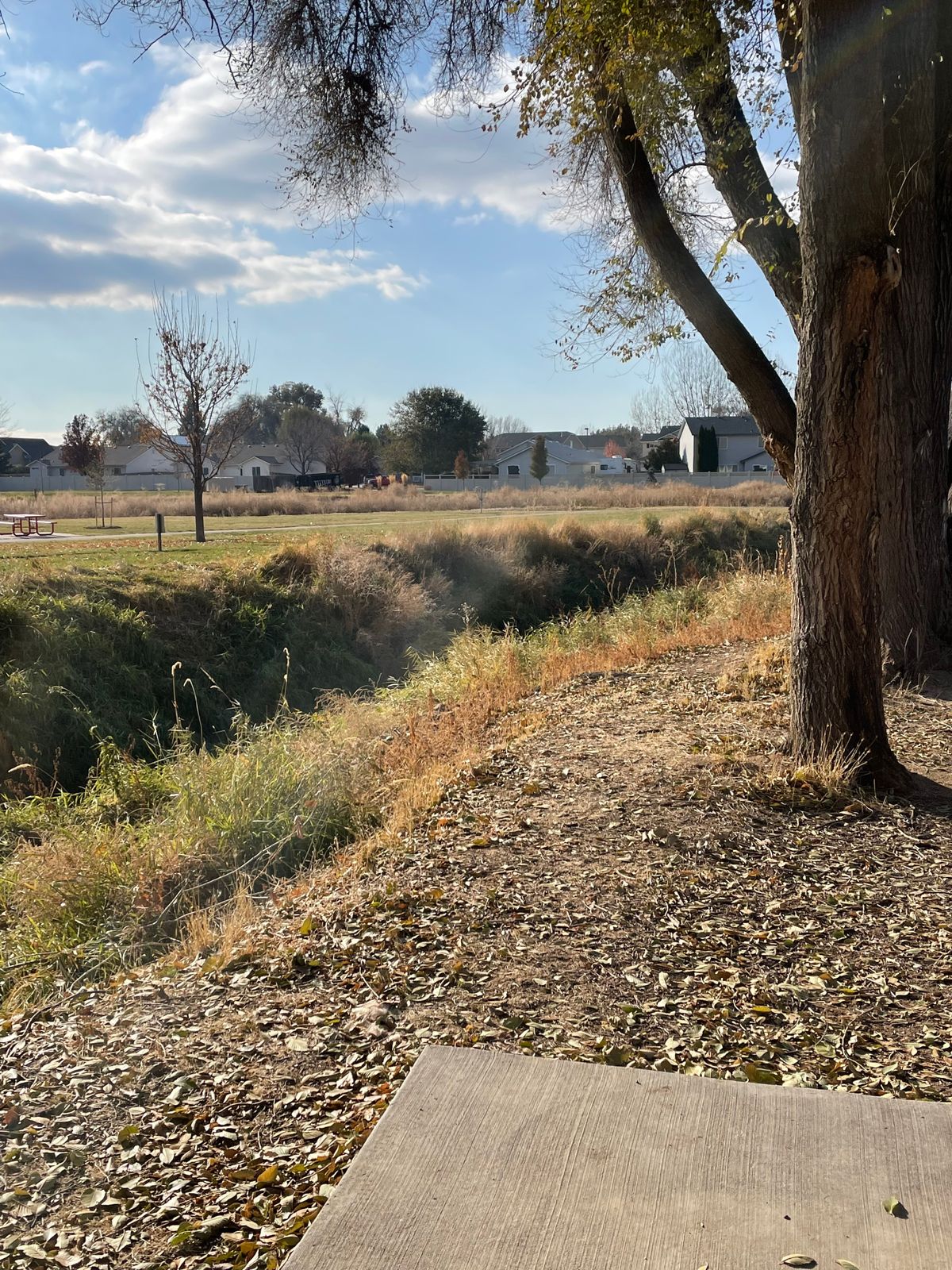 Hole 5