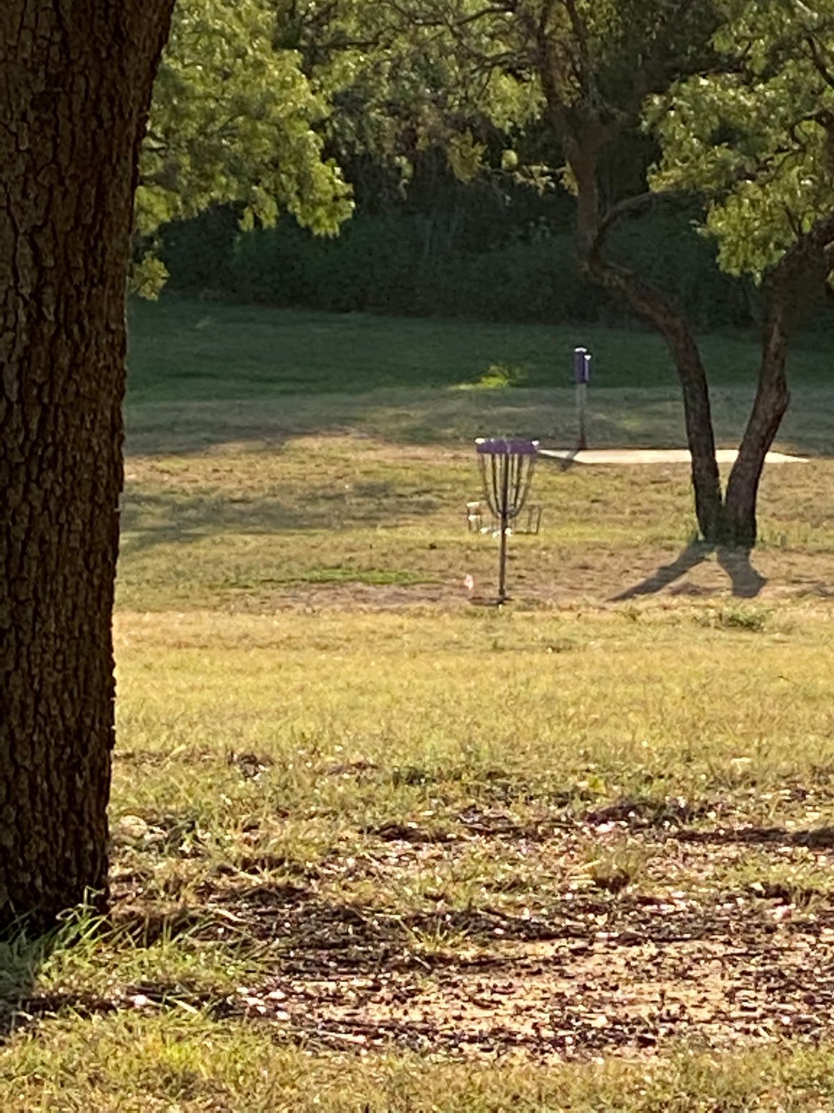 Hole 7