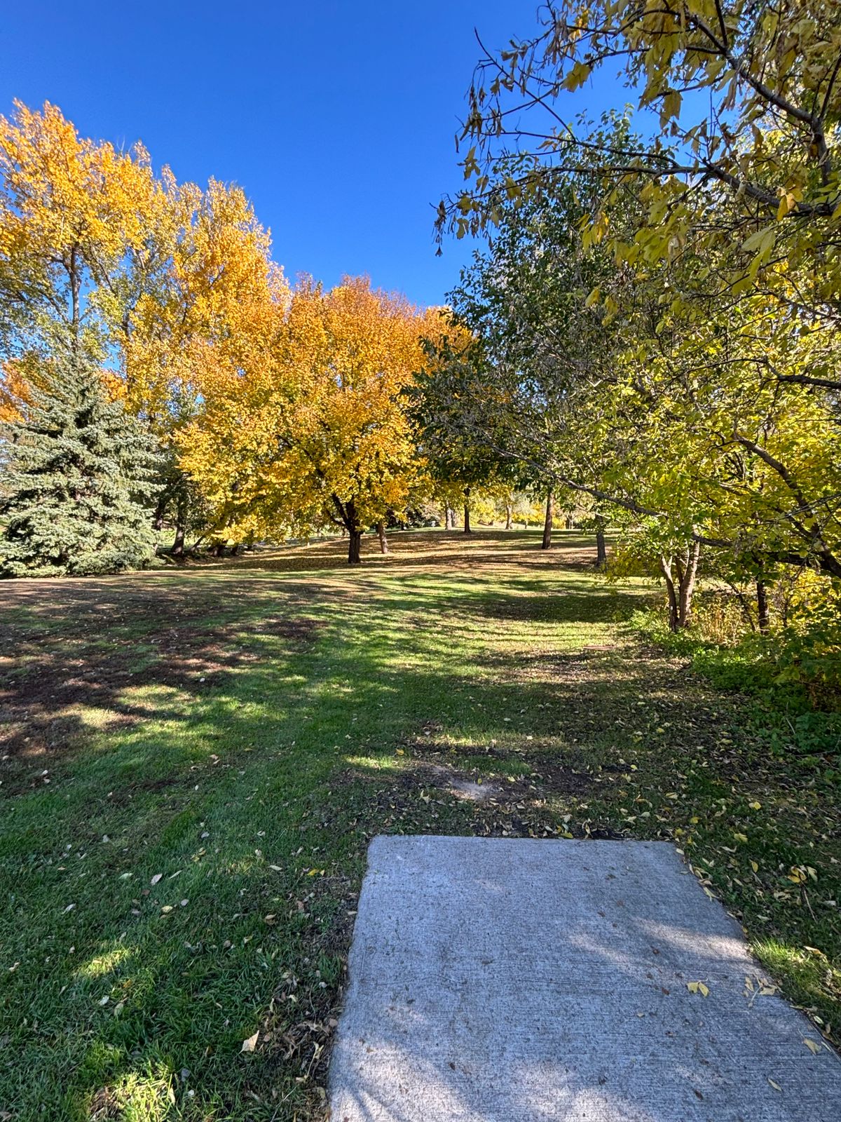 Hole 9