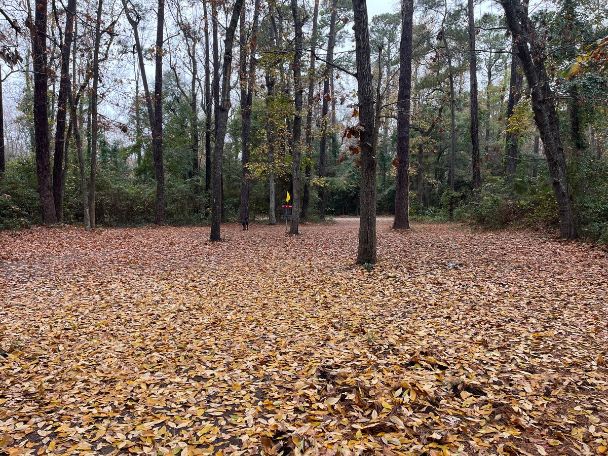 Hole 2. Thought the leaves gave it a kung fu movie kinda feel 😎