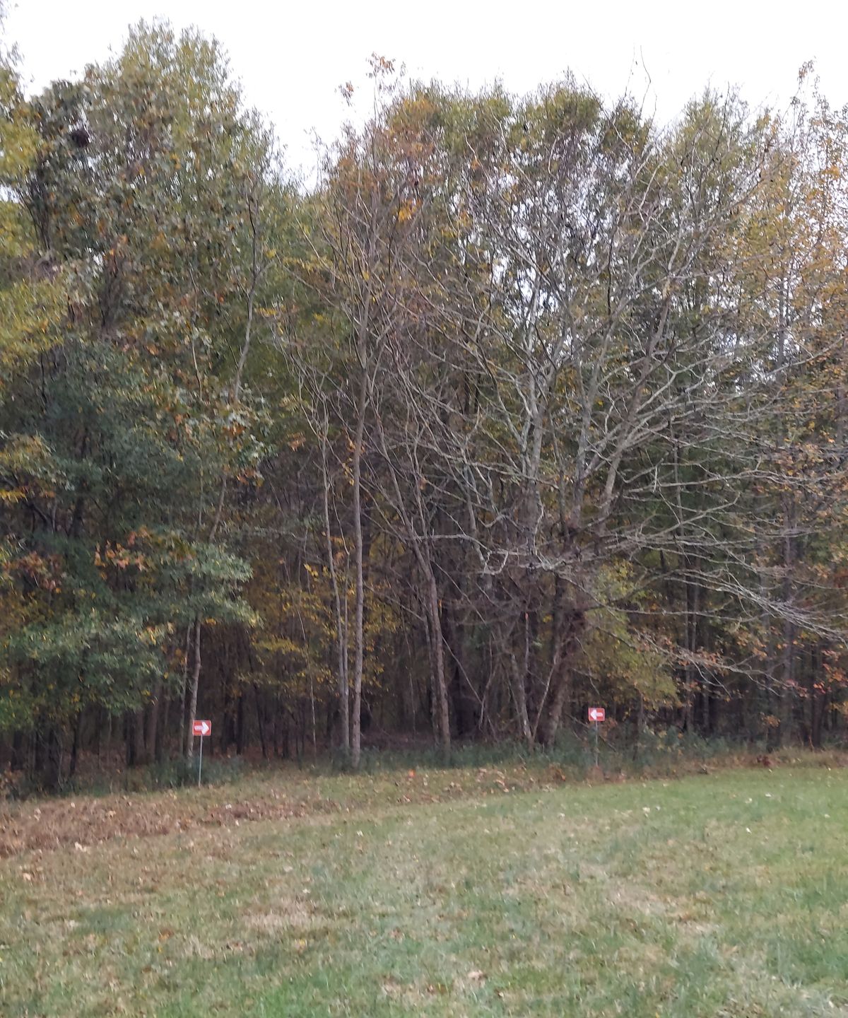3's double mando.