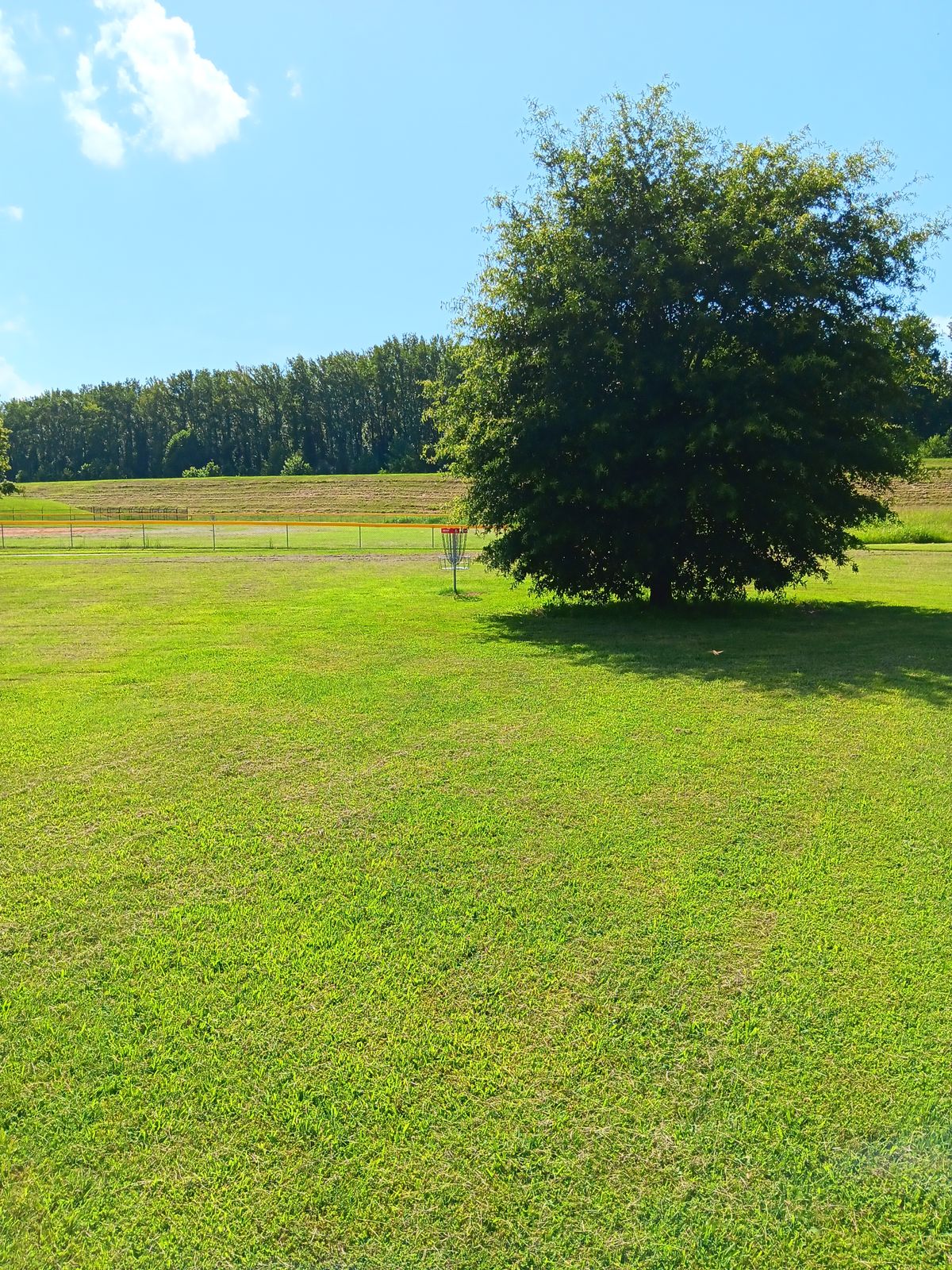 Hole 6 Basket