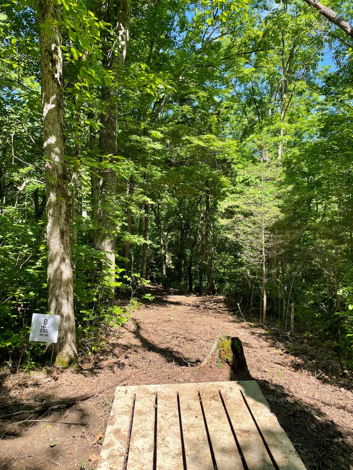 Hole 8