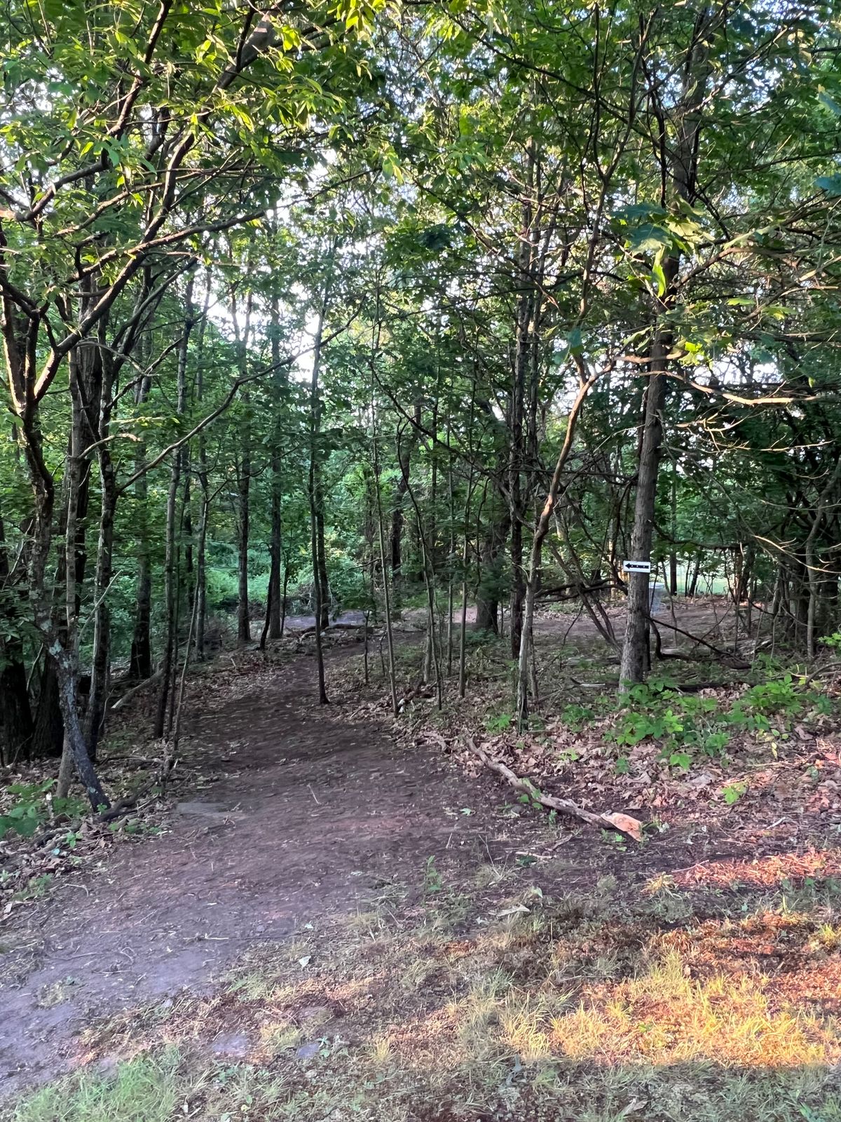 Path down to holes 3-4-5 loop