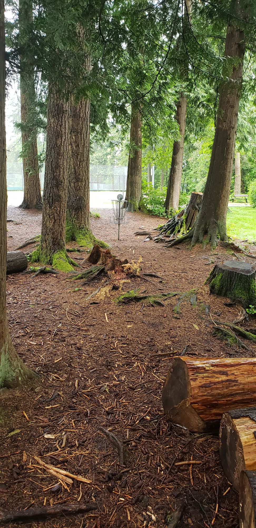 Hole 1 basket