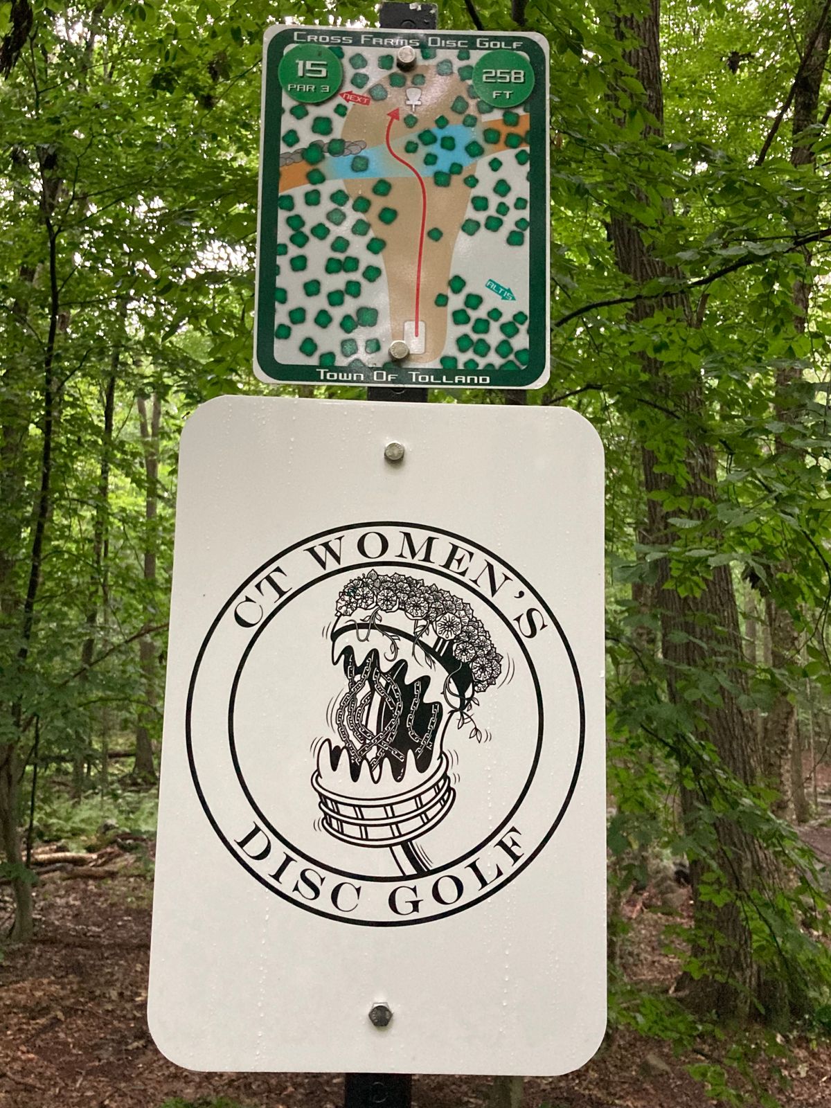 Hole 15.