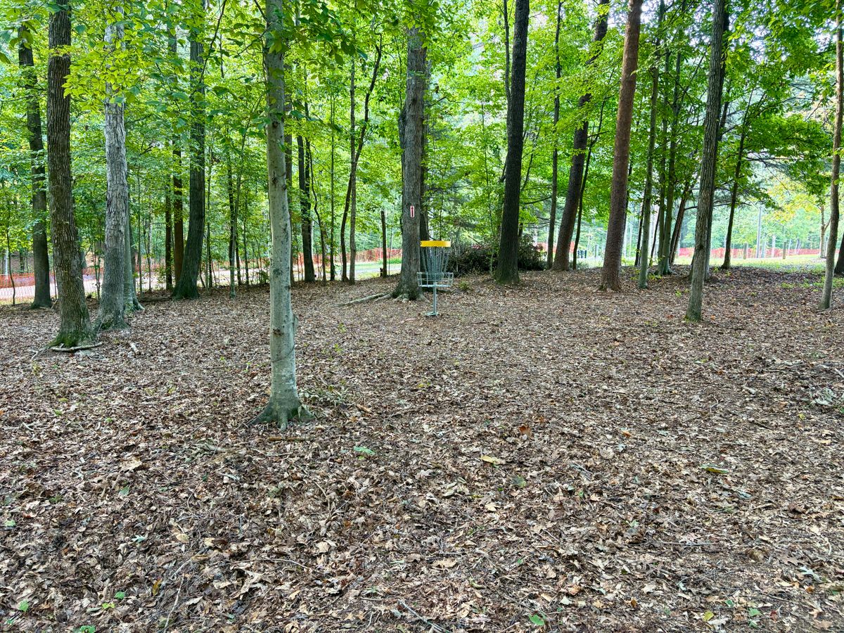 Hole 5 approach