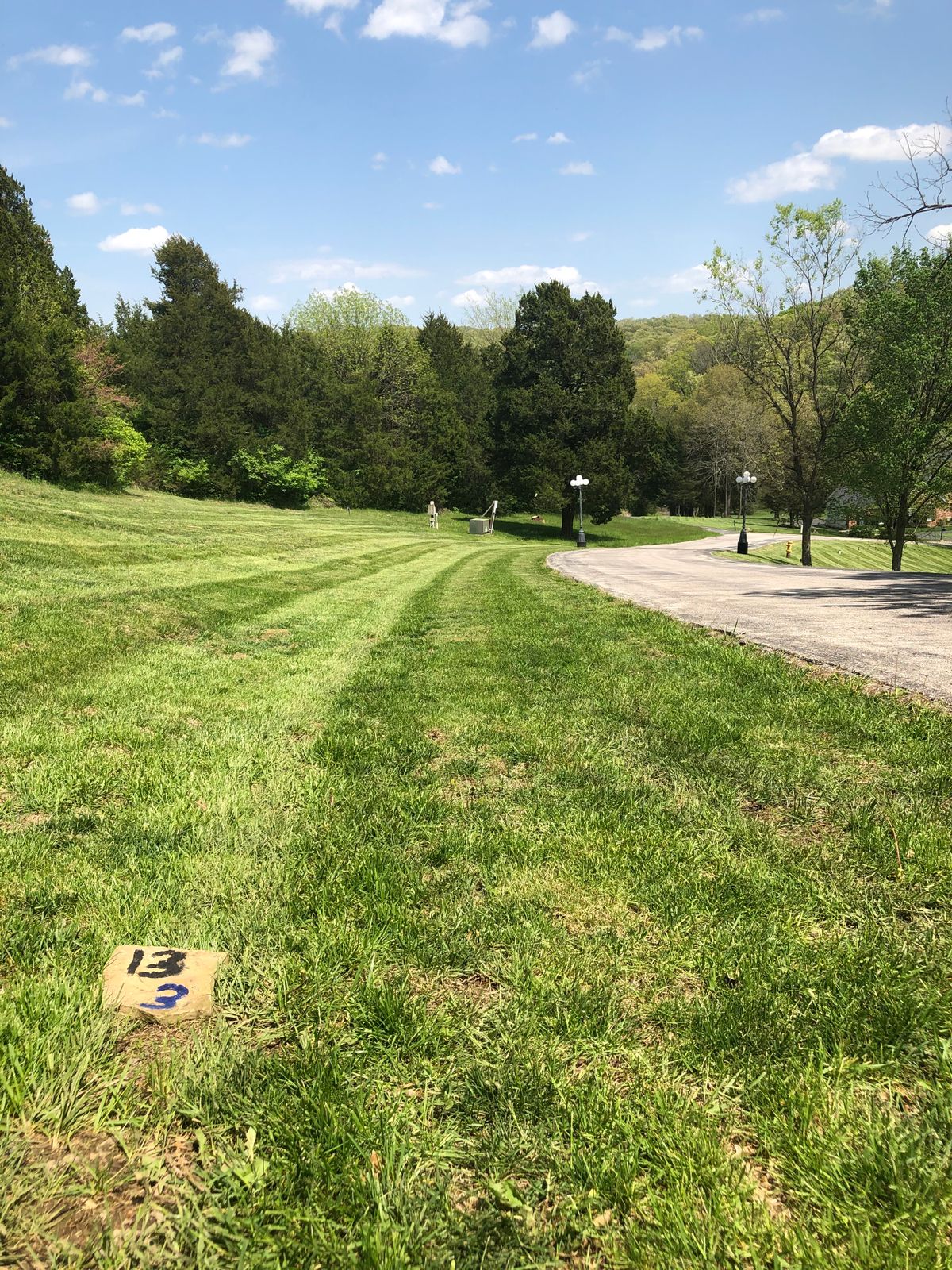Very direct downhill par3 behind big pine.