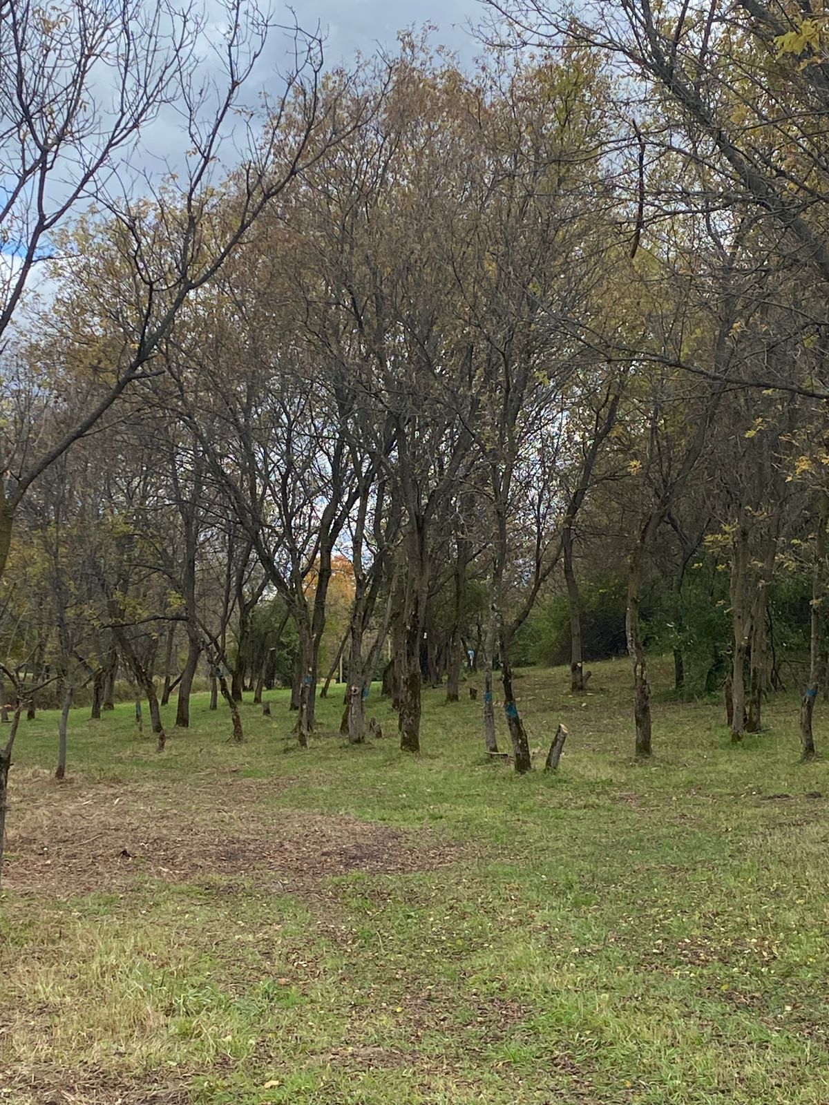 View of Hole 8 after field