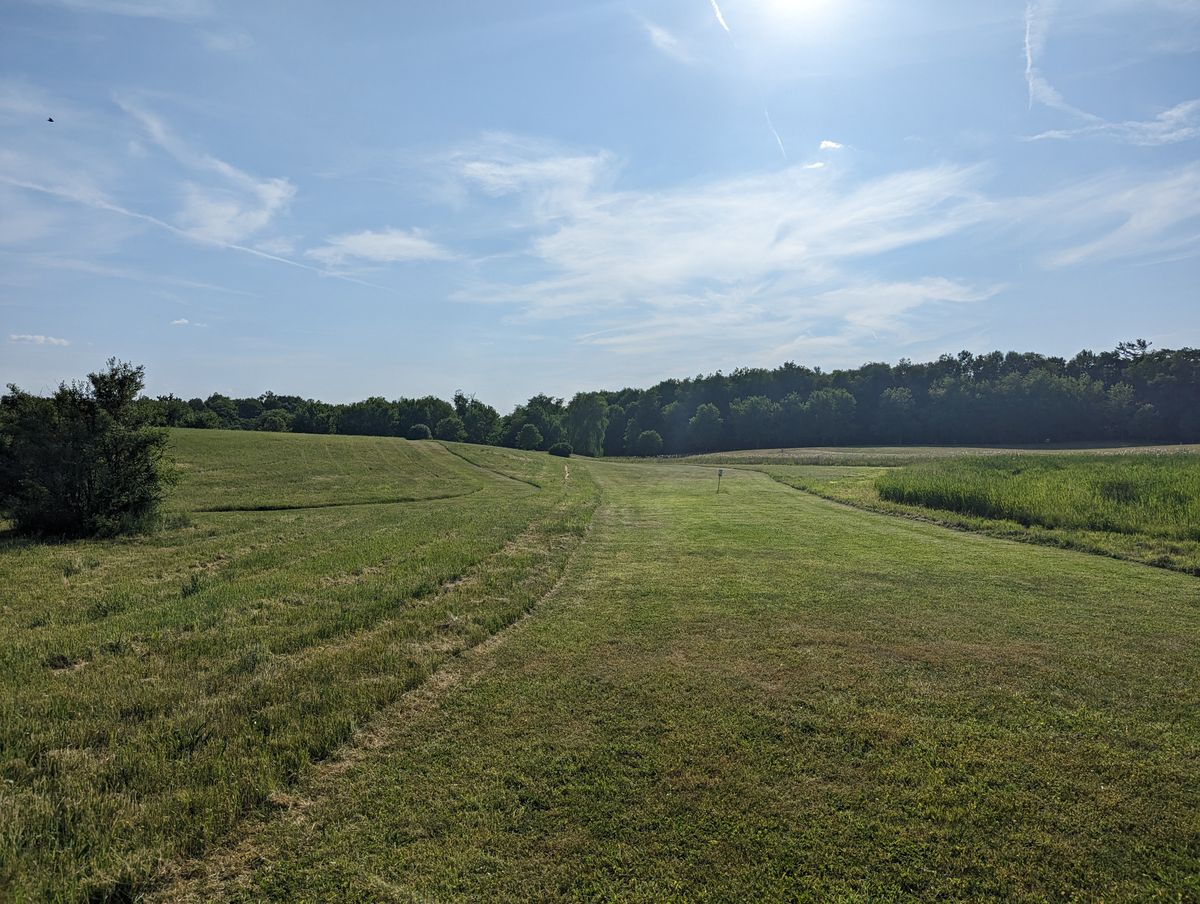 Freshly mowed fairway and rough, hole 2