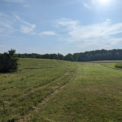 Freshly mowed fairway and rough, hole 2