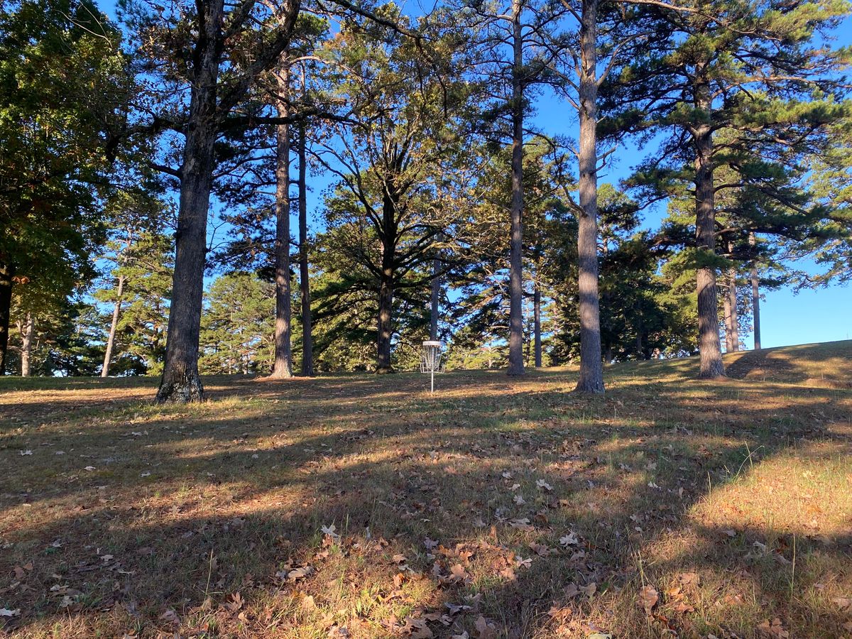 Hole 6 green
