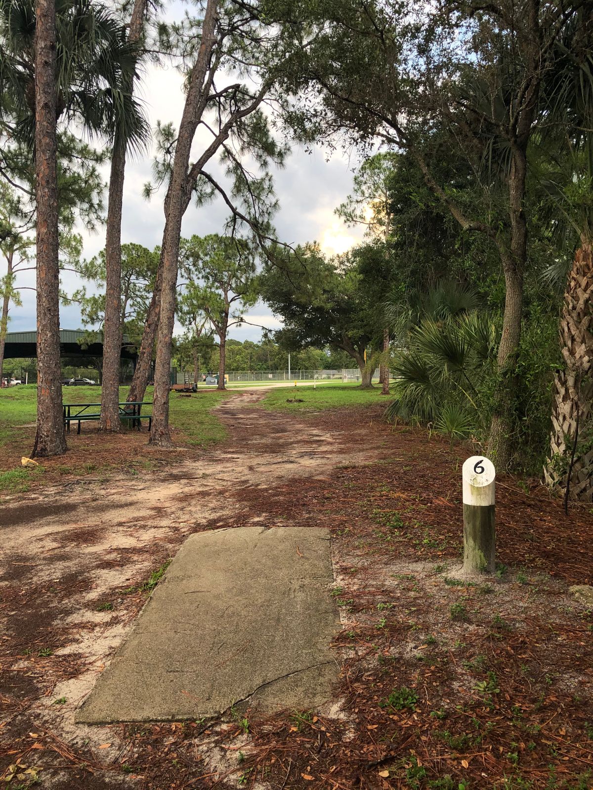 Hole 6 - Blue