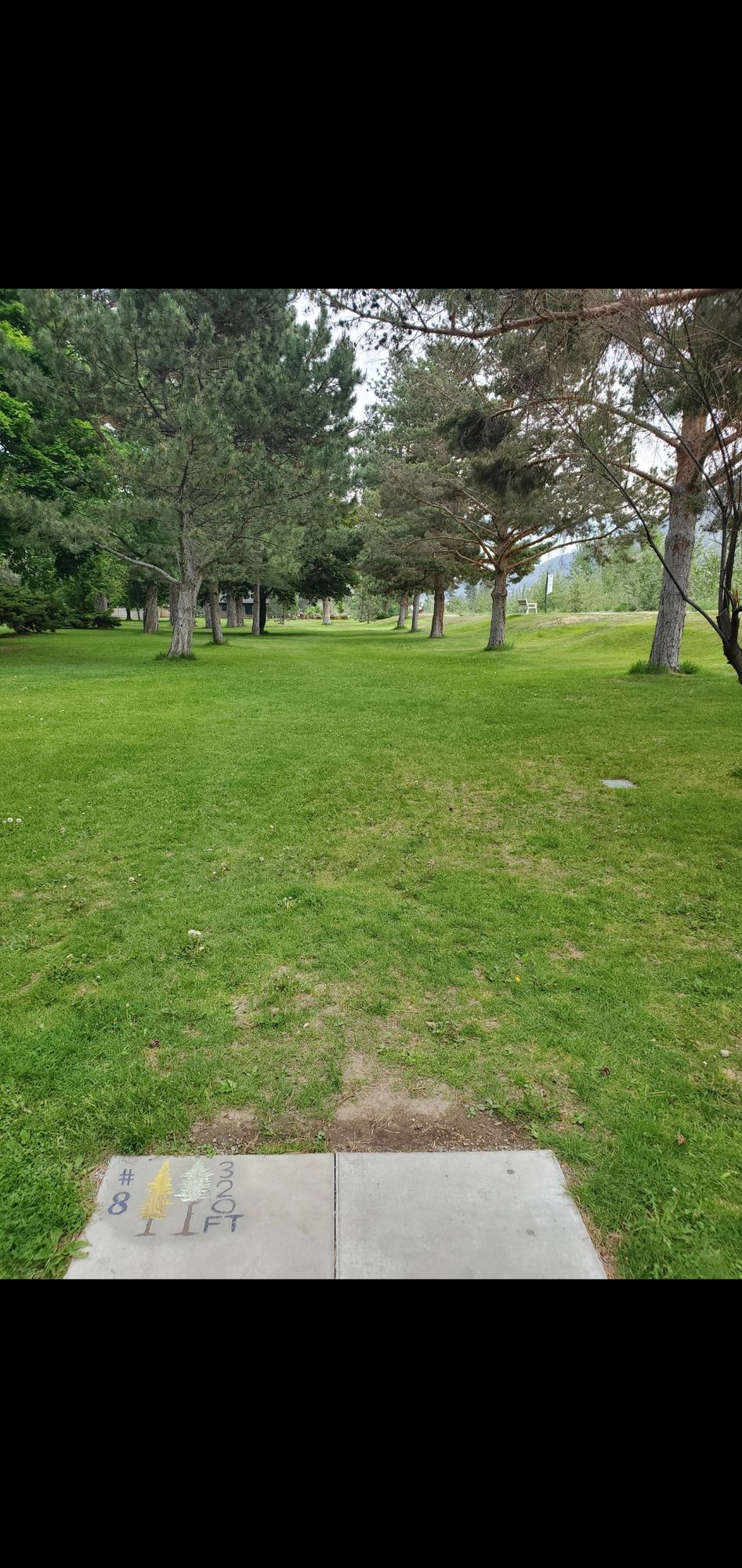 Hole 9 - 320' - Teepad on the walking path to the right of 8 basket