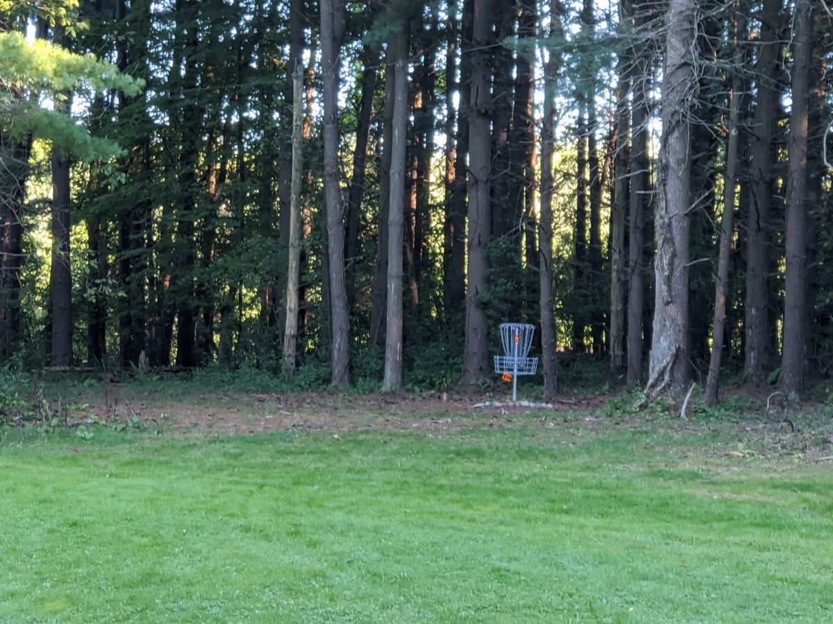 Hole 7 Basket